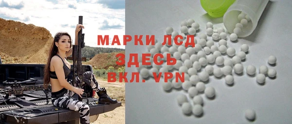 шишки Новодвинск