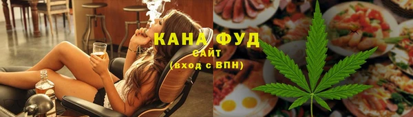шишки Новодвинск