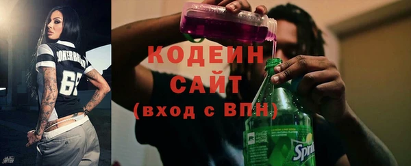 шишки Новодвинск