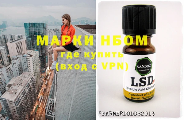 шишки Новодвинск