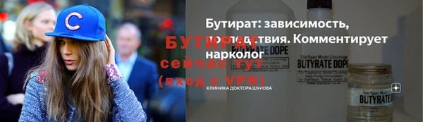 шишки Новодвинск