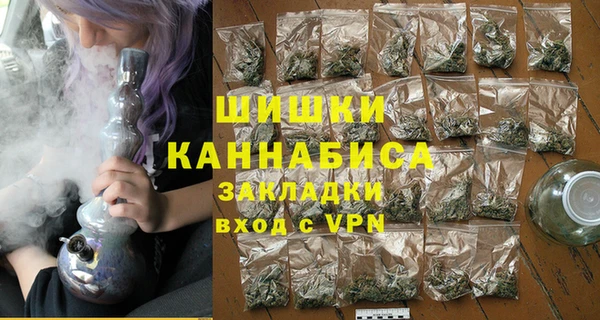 шишки Новодвинск