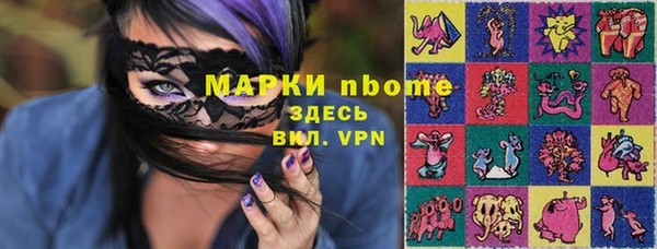 шишки Новодвинск
