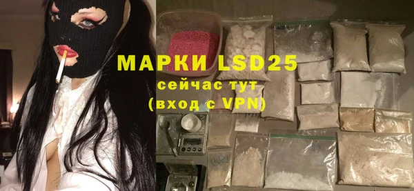 шишки Новодвинск