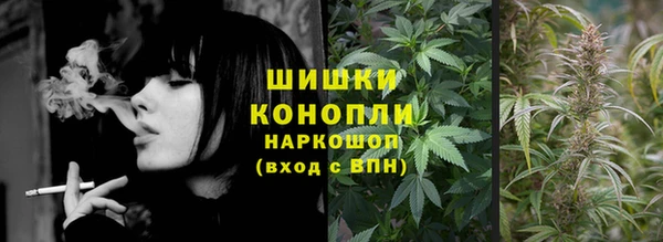 шишки Новодвинск