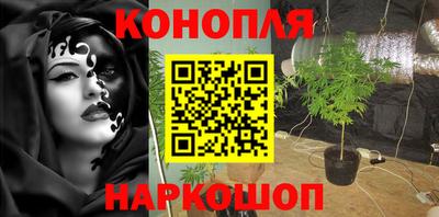 тгк Гусев
