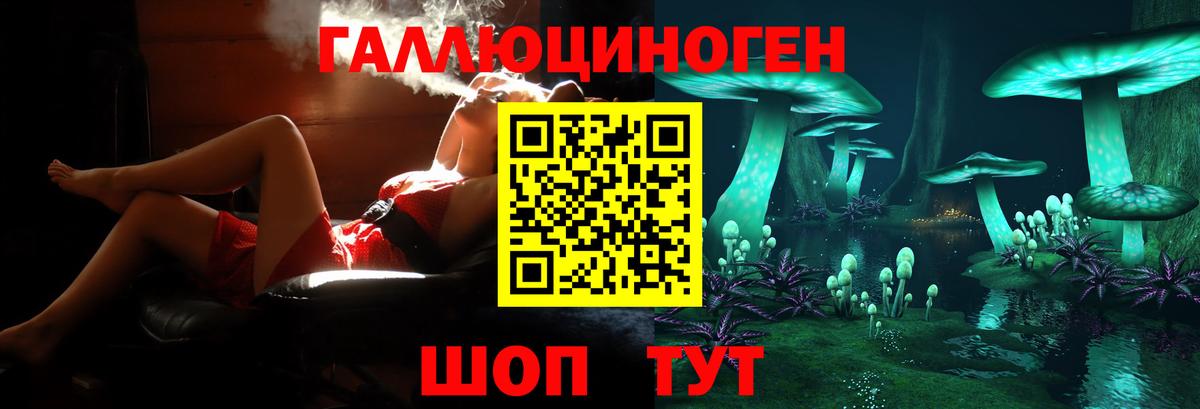 Псилоцибиновые грибы мухоморы Михайловск