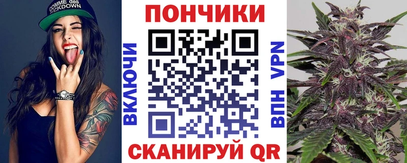 купить  цена  Михайловск  Каннабис SATIVA & INDICA 